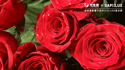 德晋贵宾厅(中国区)官方网站