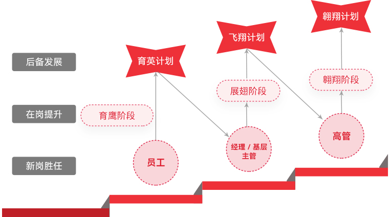 德晋贵宾厅 "雄鹰妄想"人才梯队作育